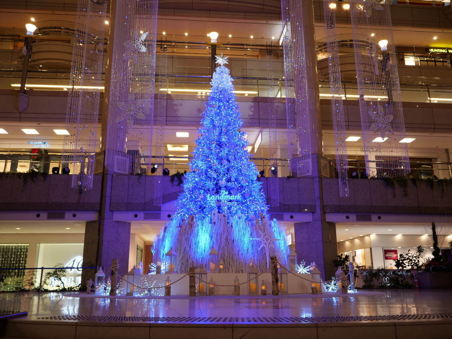 横浜ランドマークタワーのクリスマス2020、煌びやかに輝く高さ約8mの巨大ツリーが登場｜写真3