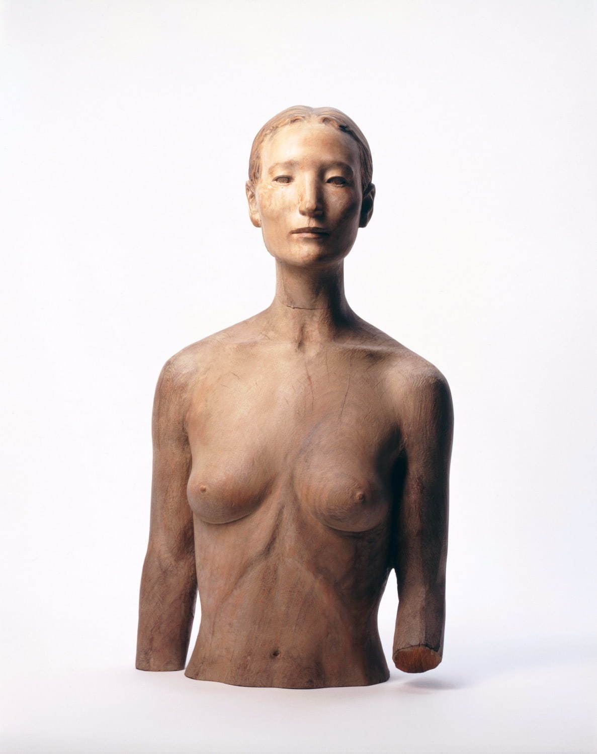 舟越桂《妻の肖像》1979-80年 楠に彩色 作家蔵 撮影：落合高仁