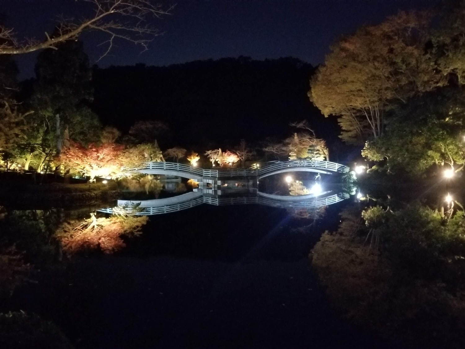 町田薬師池公園四季彩の杜で「紅葉まつり」自然豊かな敷地内で紅葉鑑賞、夜間はライトアップも｜写真7