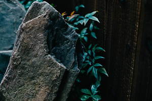 京都の1棟貸し宿泊施設「ANJIN GION SHIRAKAWA」築115年の京町家をリノベーション｜写真7