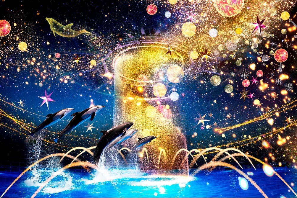 マクセル アクアパーク品川のクリスマス“星空の海”映像×イルカパフォーマンスの限定プログラム｜写真1