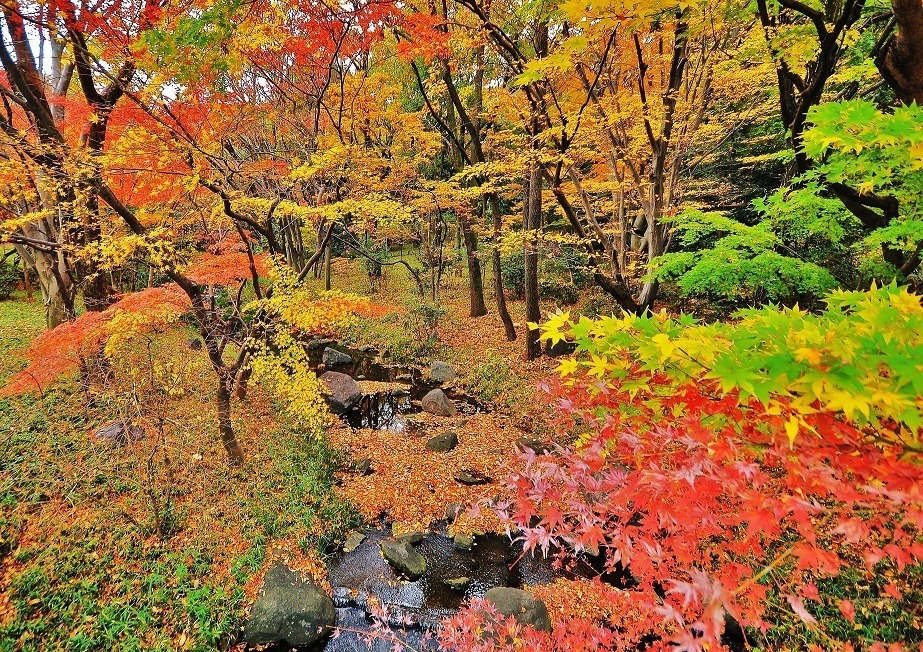 東京 千代田区の紅葉おすすめの名所 穴場6選 日比谷公園や靖国神社が秋の彩りに ファッションプレス