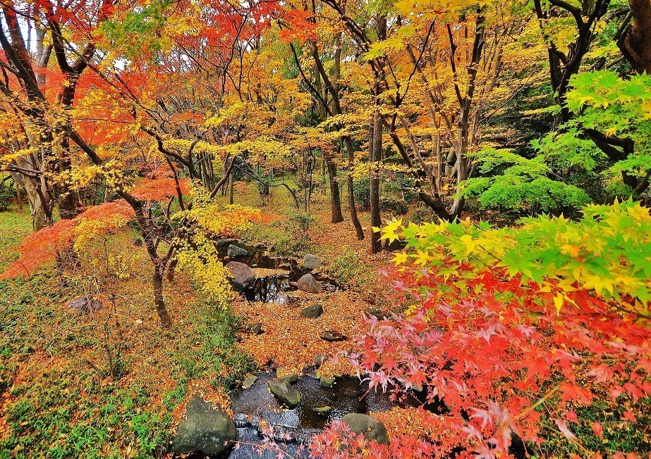 東京都内 千代田区の紅葉おすすめの名所6選 日比谷公園や靖国神社が秋の彩りに ファッションプレス