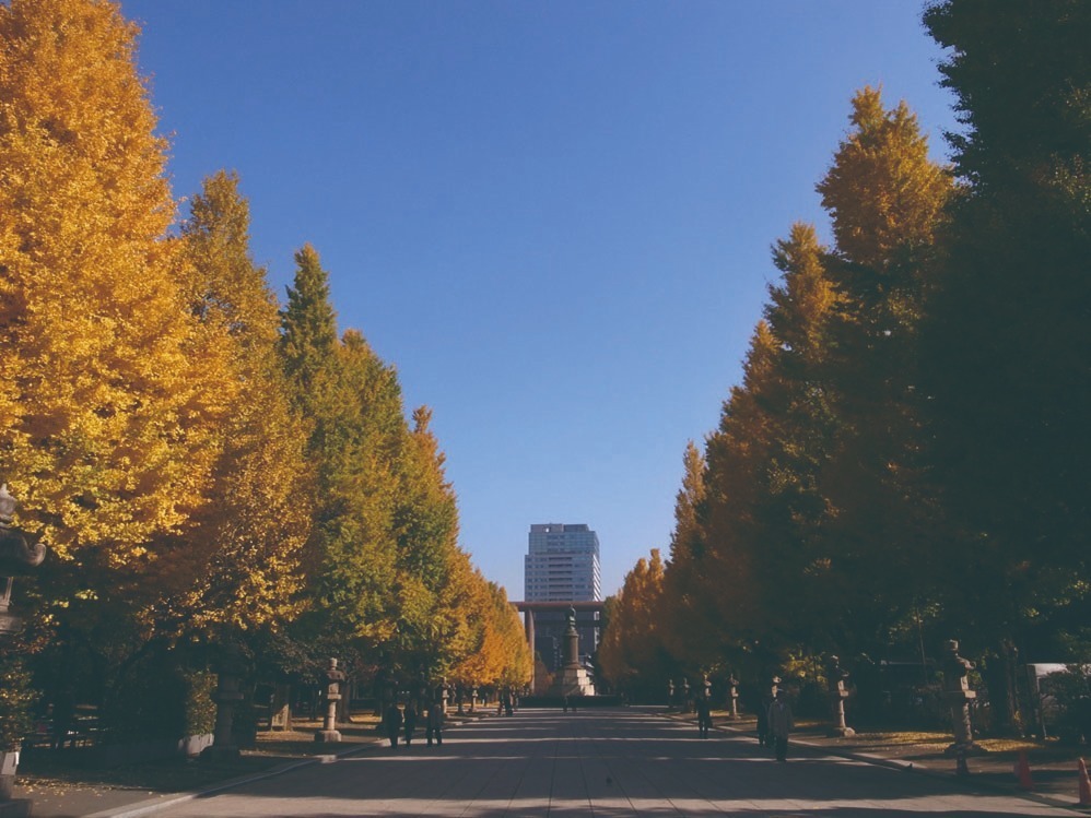 東京・千代田区の紅葉おすすめの名所・穴場6選 - 日比谷公園や靖国神社が秋の彩りに｜写真4