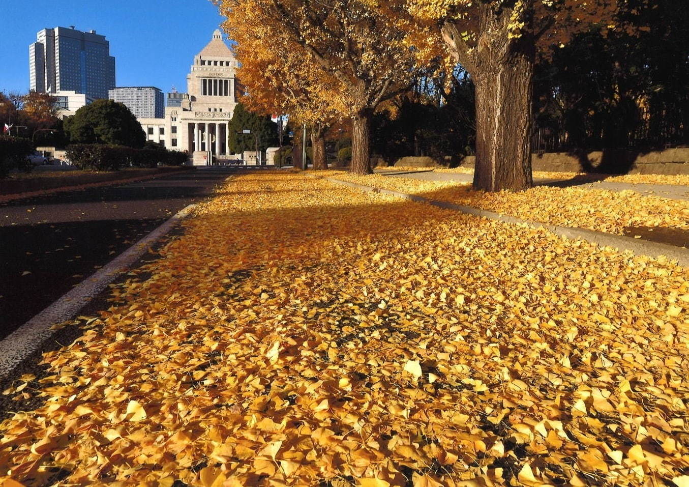 東京・千代田区の紅葉おすすめの名所・穴場6選 - 日比谷公園や靖国神社が秋の彩りに｜写真6