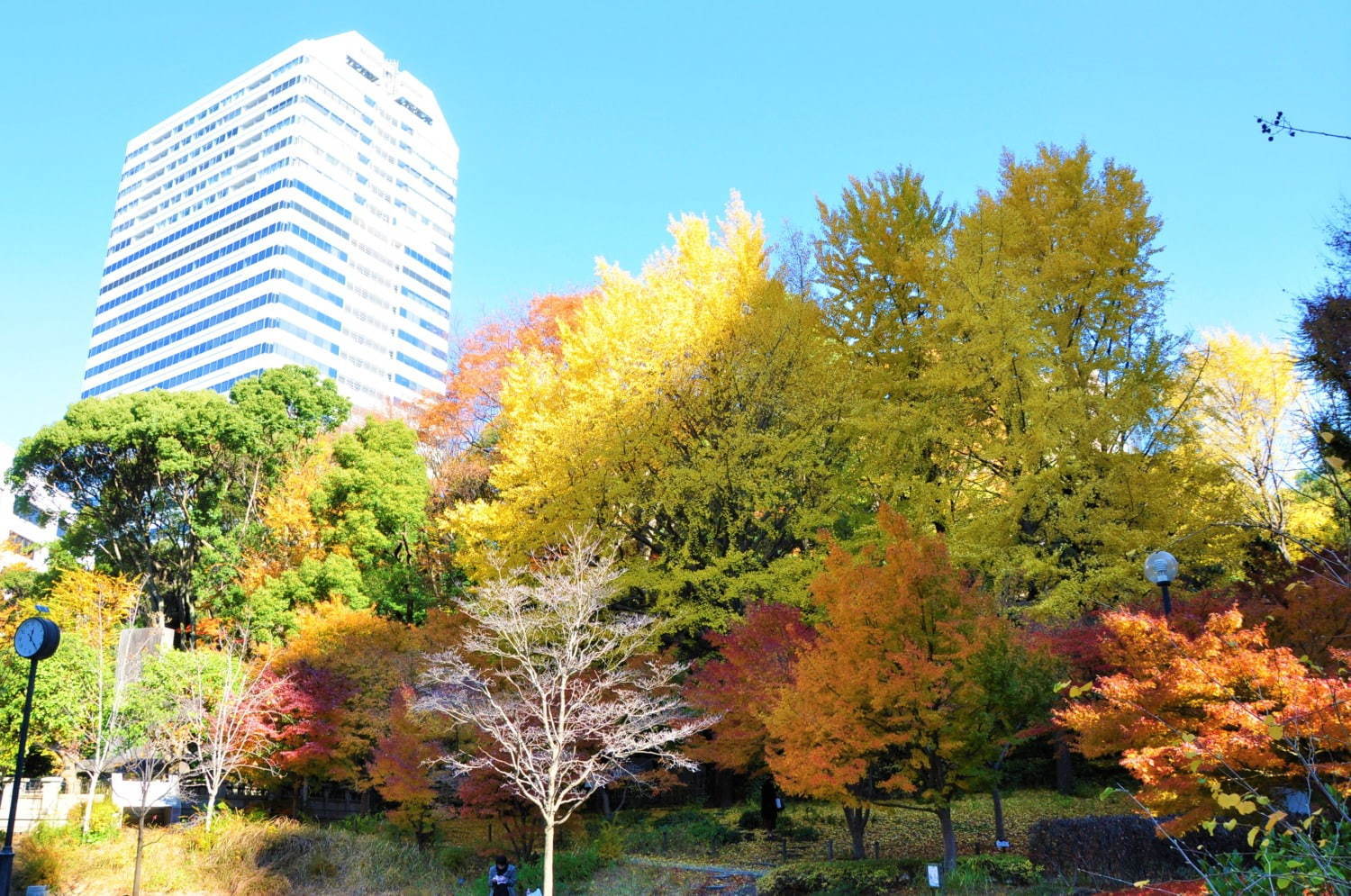 東京・千代田区の紅葉おすすめの名所・穴場6選 - 日比谷公園や靖国神社が秋の彩りに｜写真3