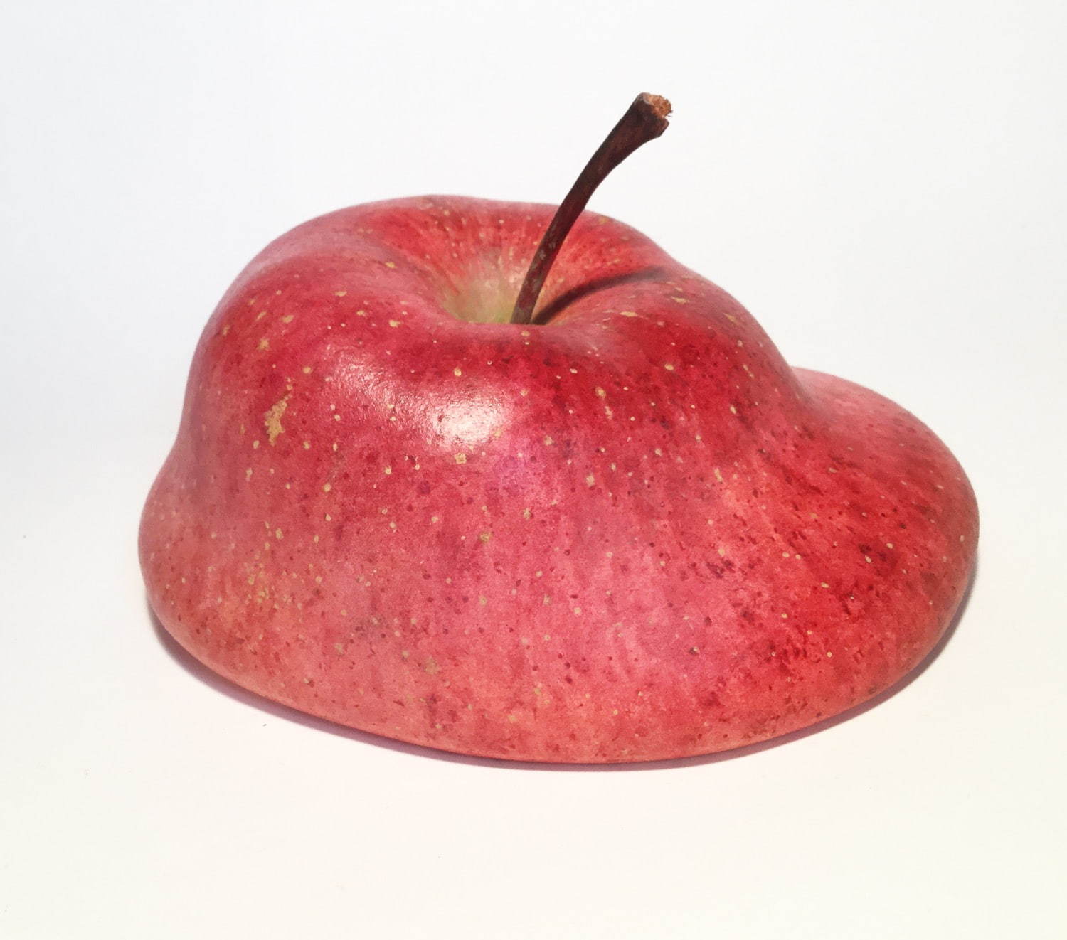 雨宮庸介《Apple》2018年 Courtesy of SNOW Contemporary