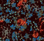 カルヴェンやサリバンのデザインを手掛ける、アホネン＆ランバーグのアート展開催｜写真4