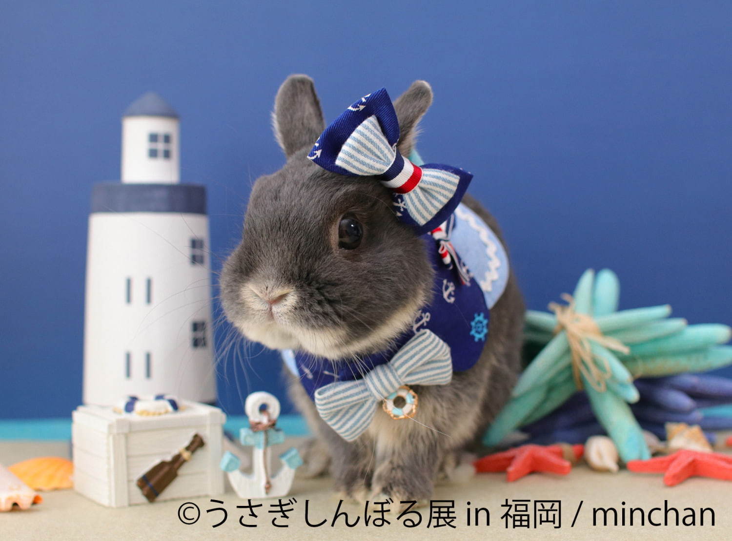 うさぎの合同写真＆物販展「うさぎしんぼる展」福岡初上陸、うさぎグッズなど福岡パルコで販売｜写真3