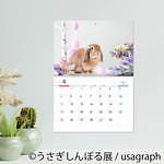 うさぎの合同写真＆物販展「うさぎしんぼる展」福岡初上陸、うさぎグッズなど福岡パルコで販売｜写真23