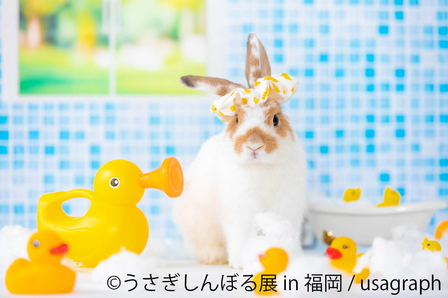 うさぎの合同写真 物販展 うさぎしんぼる展 福岡初上陸 うさぎグッズなど福岡パルコで販売 ファッションプレス うさぎの合同写真 物販展 うさぎしんぼる展 福岡初上陸 うさぎグッズなど福岡パルコで販売 ファッションプレス
