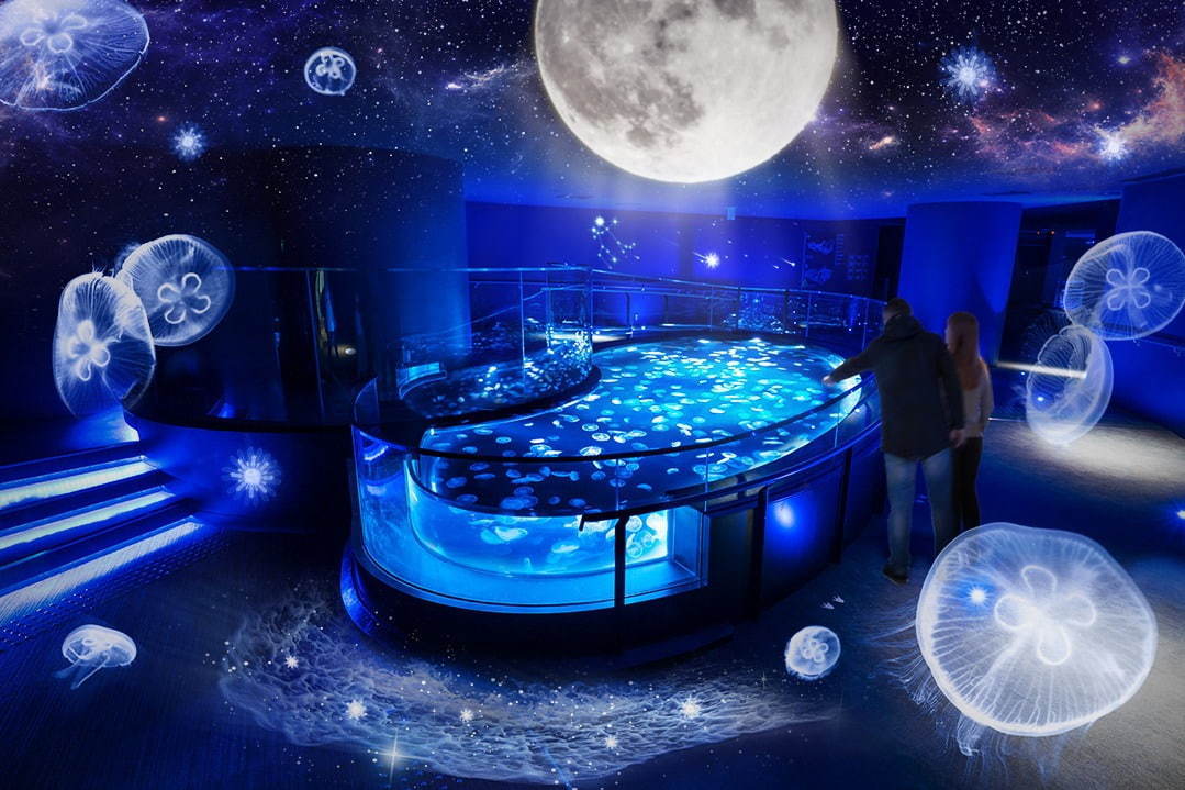 すみだ水族館の期間限定演出「月とクラゲ」光や音とともにクラゲ約500匹＆満月がシンクロ｜写真1