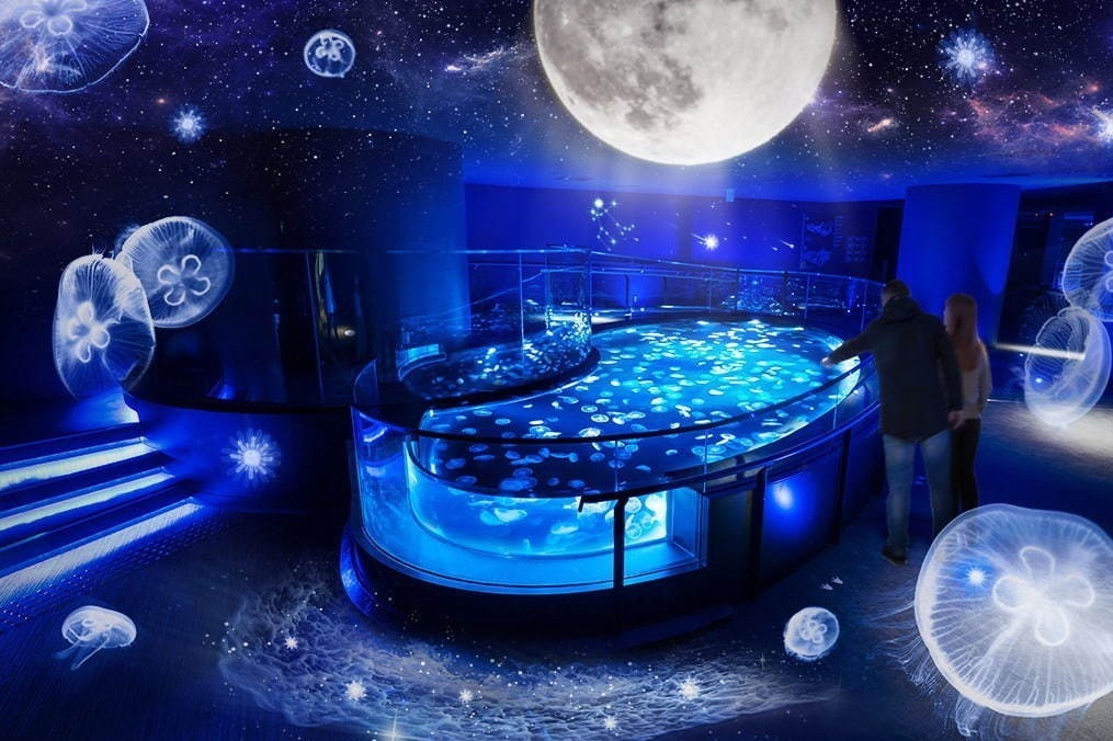 水族館｜すみだ水族館の期間限定演出「月とクラゲ」光や音とともにクラゲ約500匹＆満月がシンクロ