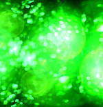 “お線香”ルームフレグランス「ヒトトキ」木漏れ日やせせらぎ着想の心安らぐ香り、非燃焼タイプも｜写真28