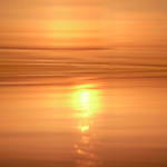 “お線香”ルームフレグランス「ヒトトキ」木漏れ日やせせらぎ着想の心安らぐ香り、非燃焼タイプも｜写真30