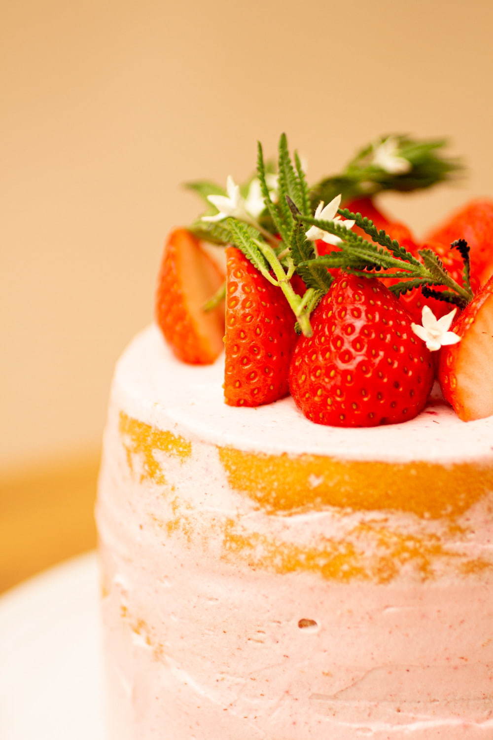 写真1 5 ロンハーマン カフェのクリスマスケーキ ピンク色のクリームで包みラベンダーを配して ファッションプレス 写真1 5 ロンハーマン カフェのクリスマスケーキ ピンク色のクリームで包みラベンダーを配して ファッションプレス