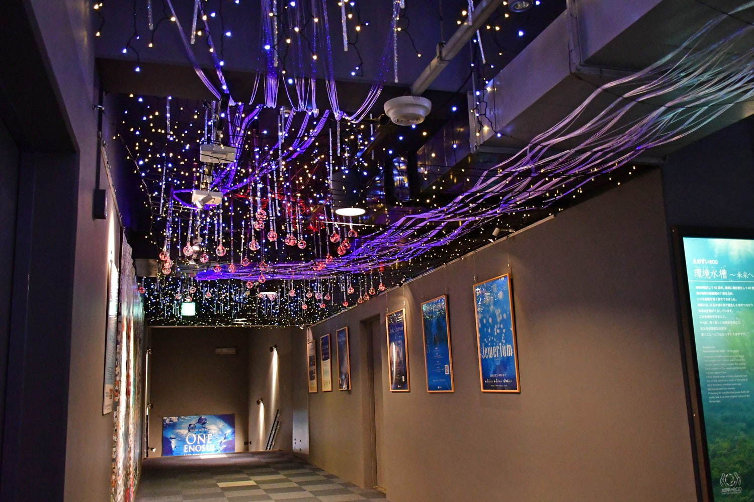 新江ノ島水族館の冬イベント「ジュエリウム」宝石の透明感・色彩・輝きを表現した展示＆演出｜写真7