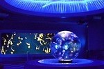 新江ノ島水族館の冬イベント「ジュエリウム」宝石の透明感・色彩・輝きを表現した展示＆演出