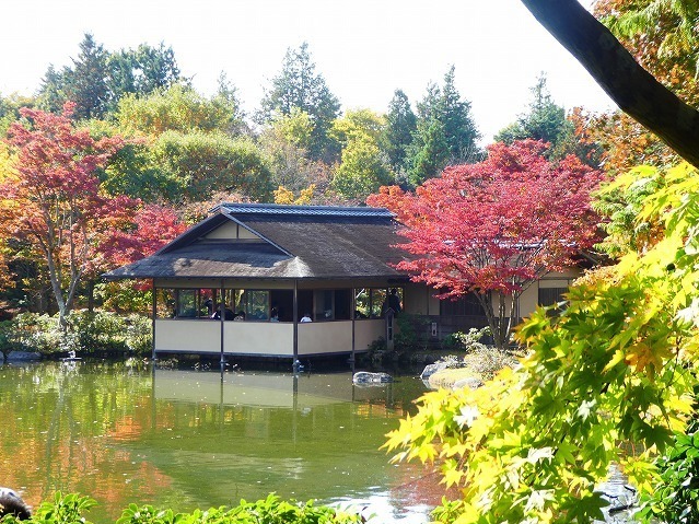 “秋の紅葉ライトアップ”が東京・国営昭和記念公園で、イチョウ並木＆日本庭園に美しい光の演出｜写真7