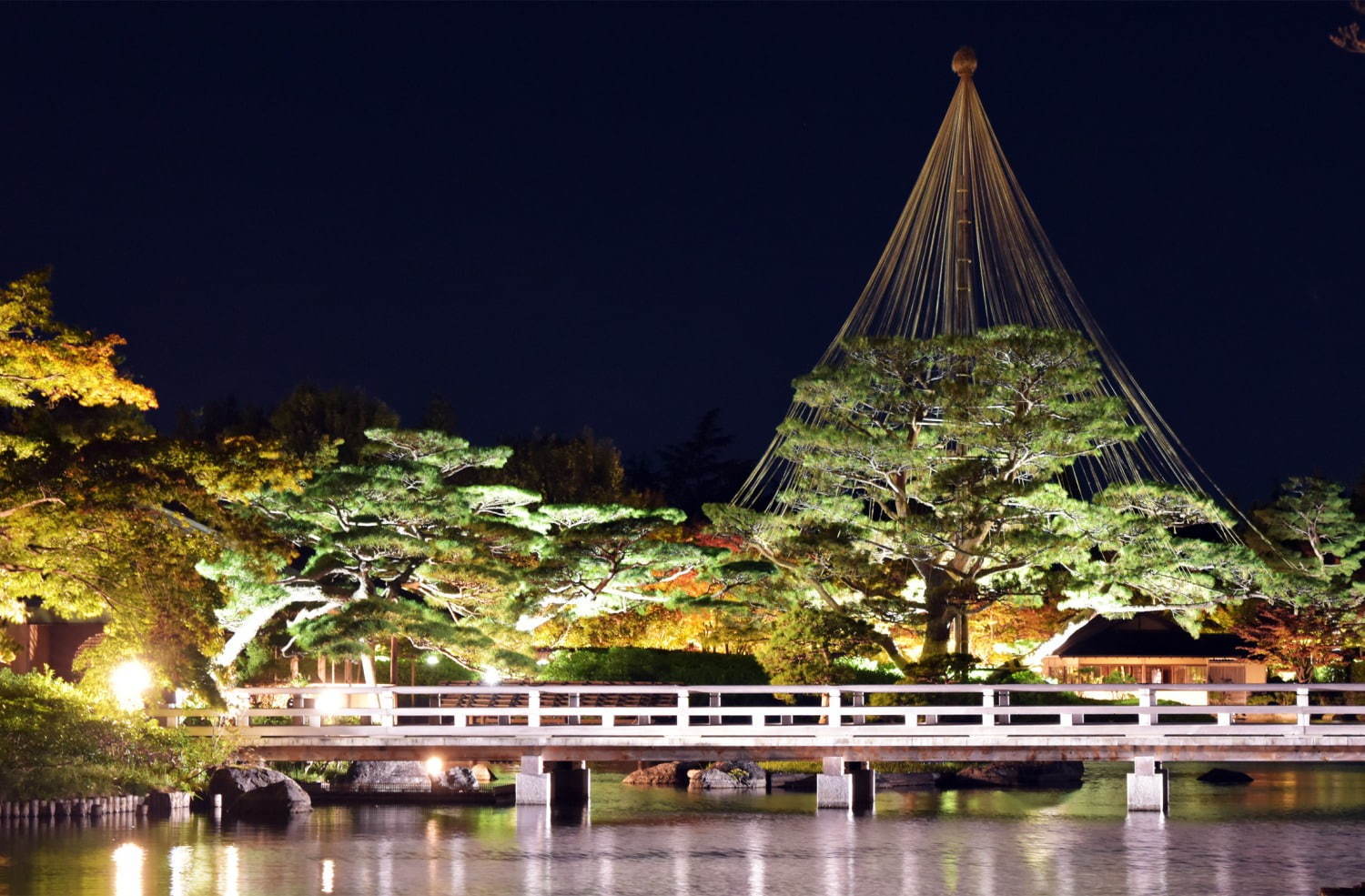 “秋の紅葉ライトアップ”が東京・国営昭和記念公園で、イチョウ並木＆日本庭園に美しい光の演出｜写真6