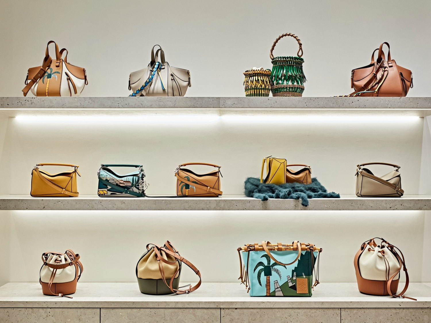 LOEWEヤシの木