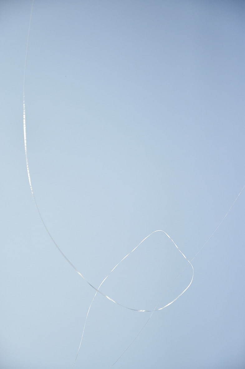 内藤礼《精霊》2020年 金沢21世紀美術館展示風景 写真：畠山直哉
Courtesy of Taka Ishii Gallery