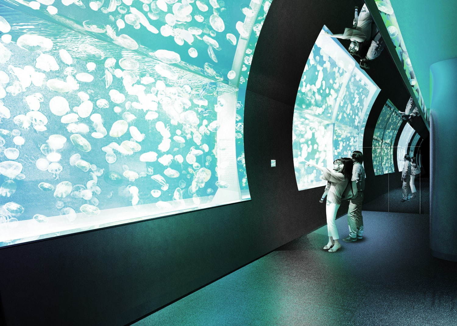 関東最大級のミズクラゲ展示が「アクアワールド茨城県大洗水族館」で、夜限定イルカショーも｜写真1