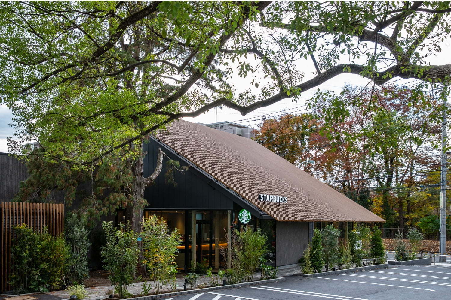 樹齢300年の大木が佇む スターバックス コーヒー 西東京新町店 オープン クスノキ着想の木造建築 ファッションプレス 樹齢300年の大木が佇む スターバックス コーヒー 西東京新町店 オープン クスノキ着想の木造建築 ファッションプレス