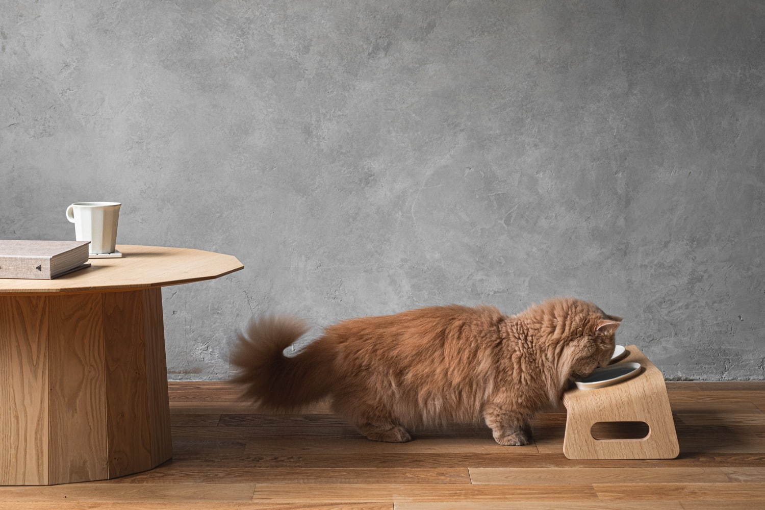 猫用木製家具ブランド「カリモクキャット」“猫が心地よく食事できる”キャットテーブル新登場｜写真8