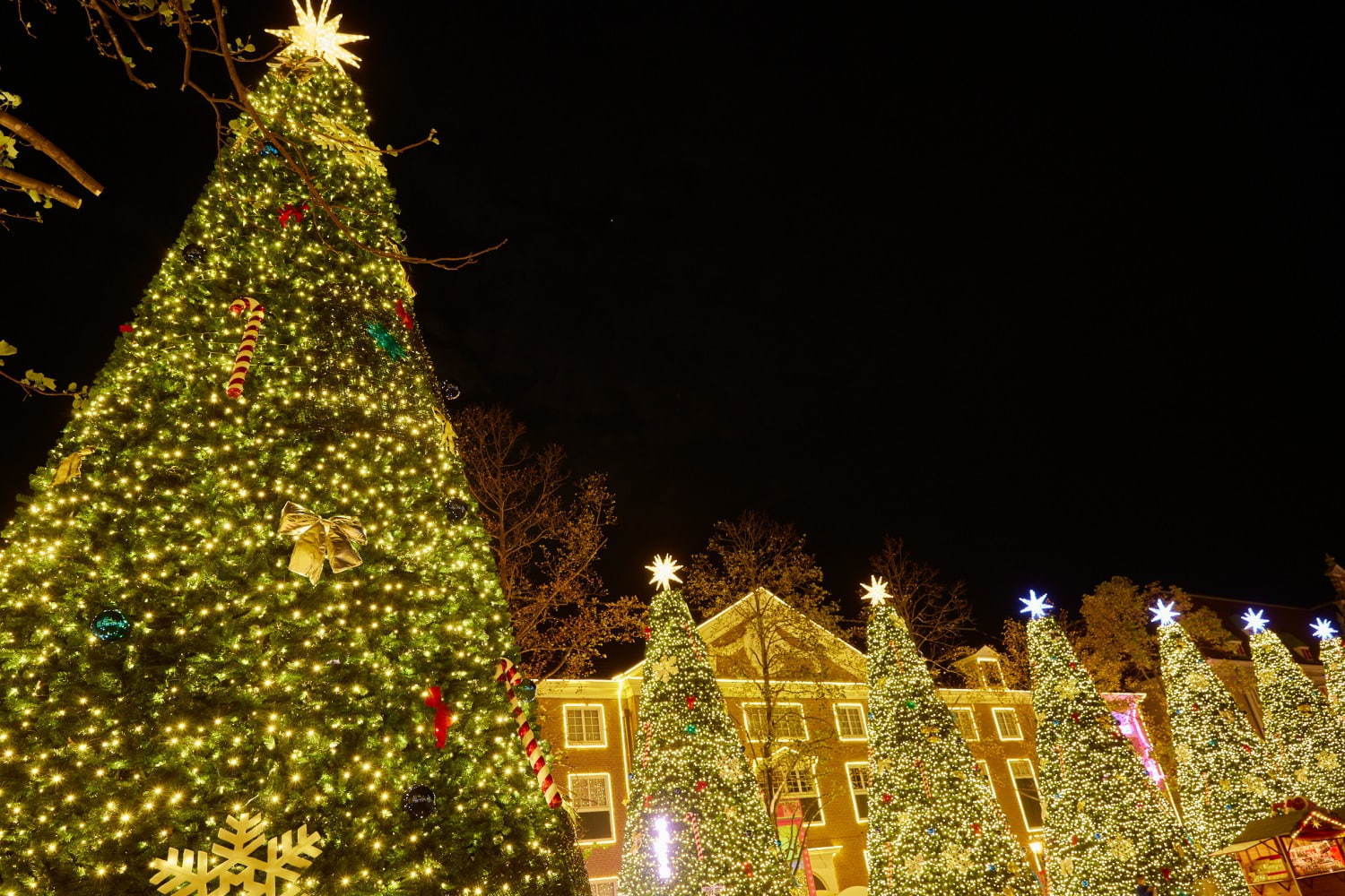 ハウステンボス「光の街のクリスマス」イルミネーション輝くクリスマスタウンや夜空を彩る花火｜写真4