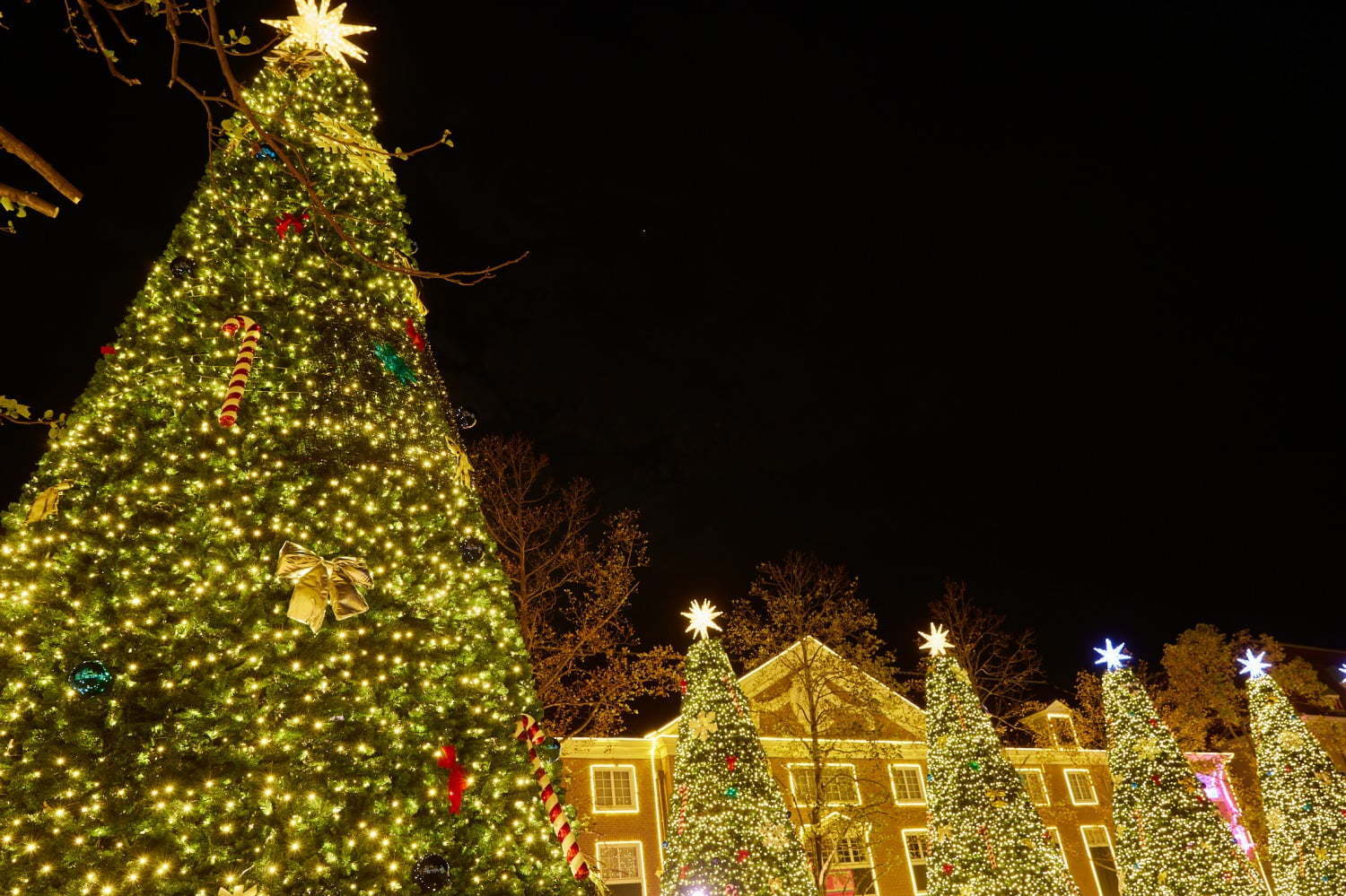 ãƒã‚¦ã‚¹ãƒ†ãƒ³ãƒœã‚¹ å…‰ã®è¡—ã®ã‚¯ãƒªã‚¹ãƒžã‚¹ ã‚¤ãƒ«ãƒŸãƒãƒ¼ã‚·ãƒ§ãƒ³è¼ãã‚¯ãƒªã‚¹ãƒžã‚¹ã‚¿ã‚¦ãƒ³ã‚„å¤œç©ºã‚'å½©ã‚‹èŠ±ç« ãƒ•ã‚¡ãƒƒã‚·ãƒ§ãƒ³ãƒ—ãƒ¬ã‚¹