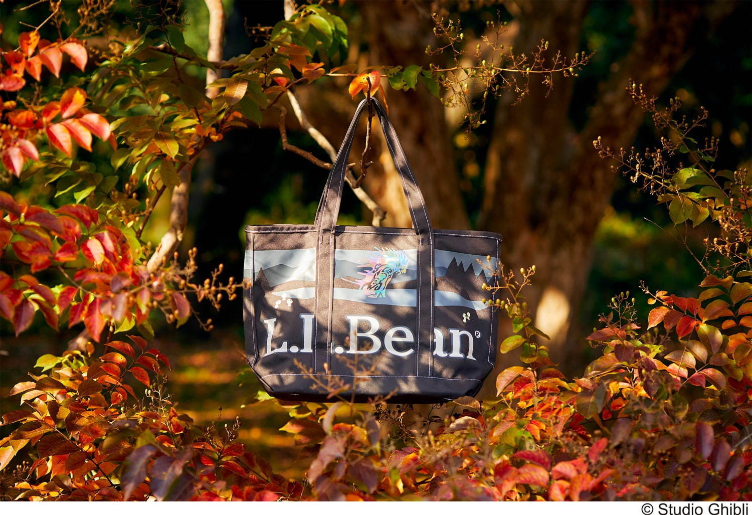 エルエルビーン(L.L.Bean), ジービーエル(GBL) もののけ姫｜写真8