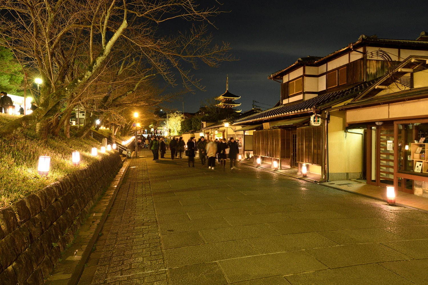 「京都・東山花灯路-2021」東山地域で開催、二年坂やねねの道を彩る“灯り”と“花”の競演｜写真2