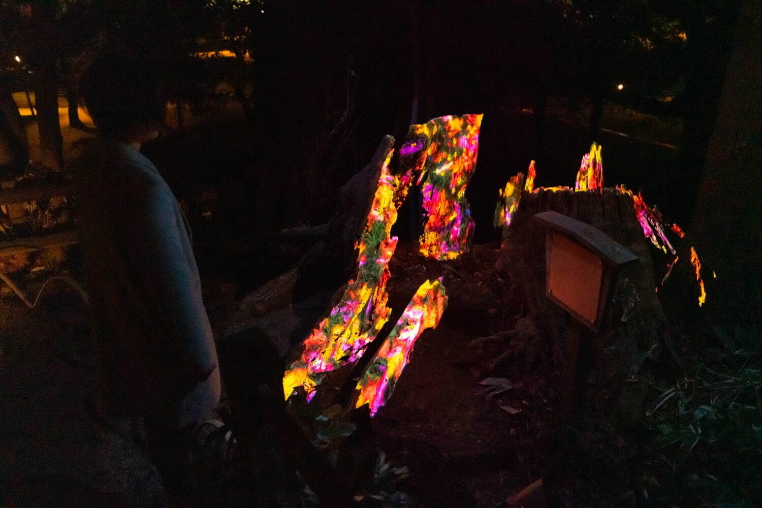 茨城・水戸「チームラボ 偕楽園 光の祭」日本三名園の梅1,500本が光り輝くデジタルアート空間｜写真8