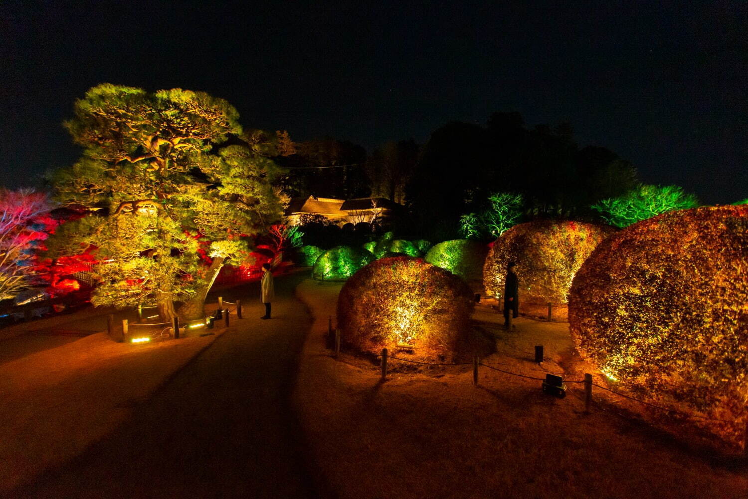 茨城・水戸「チームラボ 偕楽園 光の祭」日本三名園の梅1,500本が光り輝くデジタルアート空間｜写真7