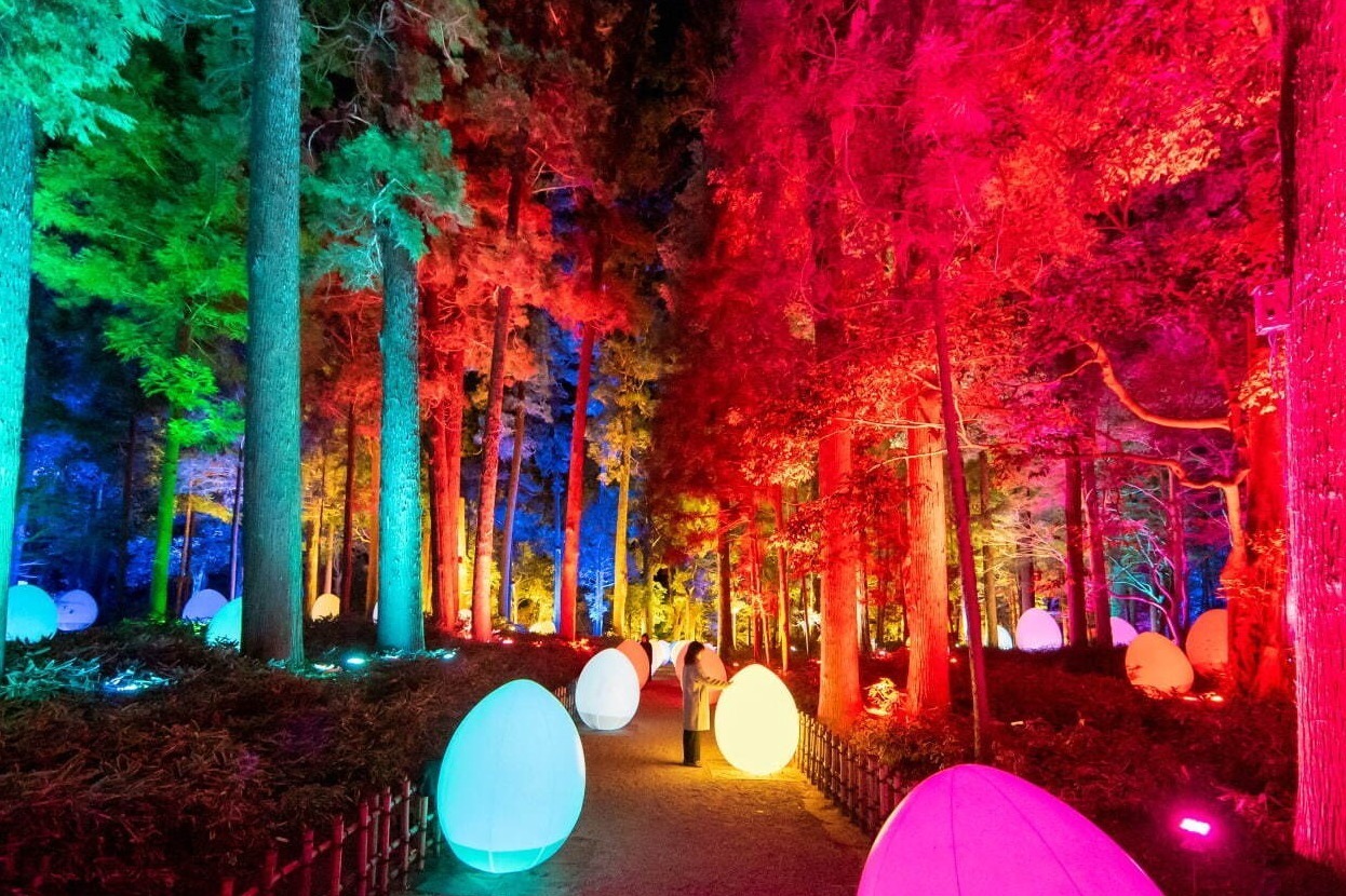 偕楽園「チームラボ 偕楽園 光の祭」