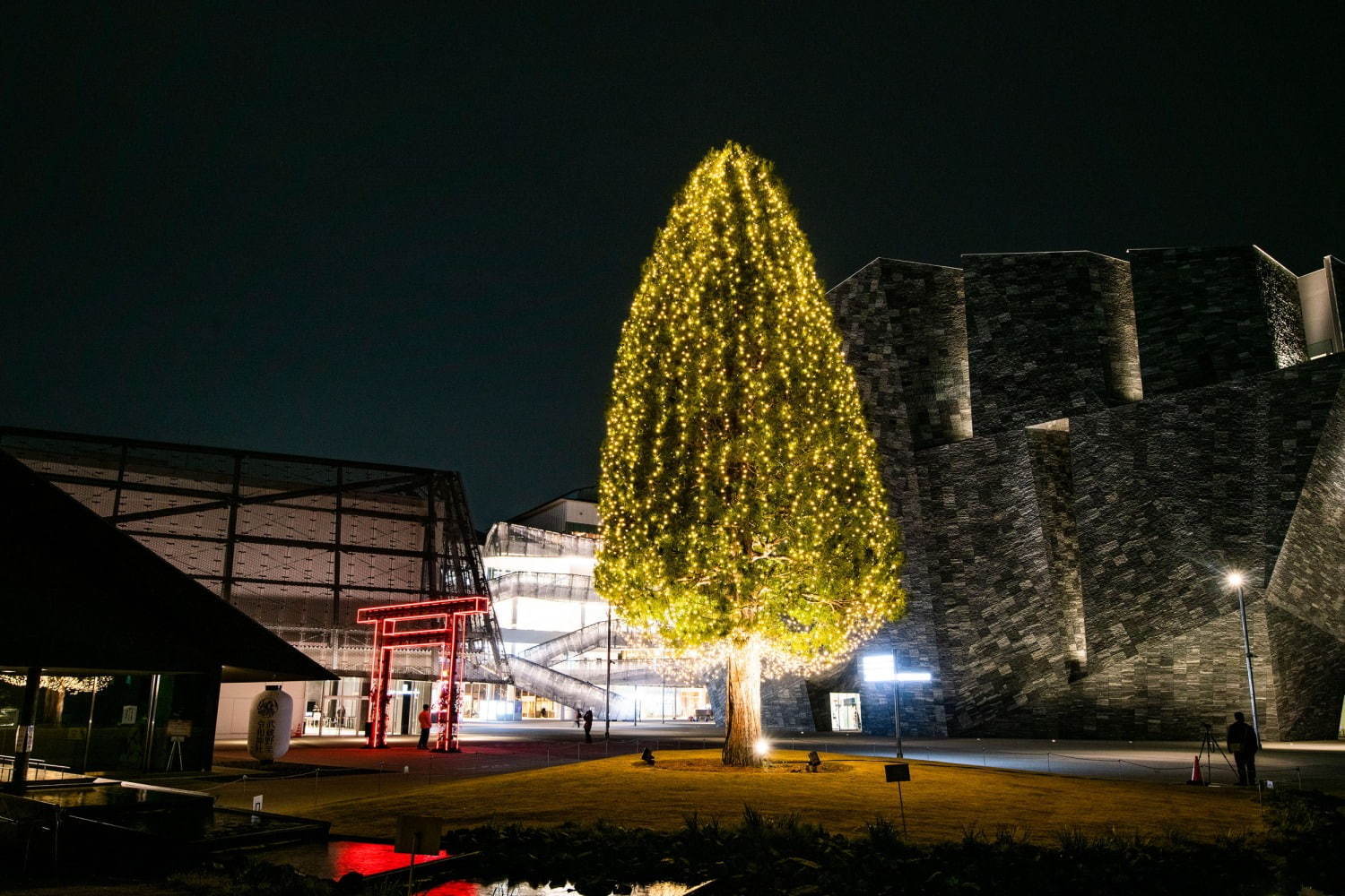 ところざわサクラタウンのイルミネーション「冬花見」桜色に輝くツリーや水盤のボールライト演出｜写真10