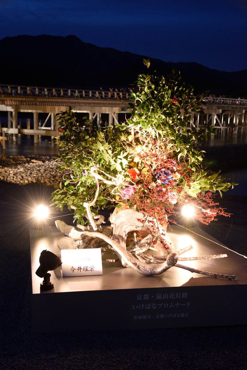 「京都・嵐山花灯路-2020」渡月橋ライトアップや情緒あふれる散策路“灯りと花の路”｜写真3