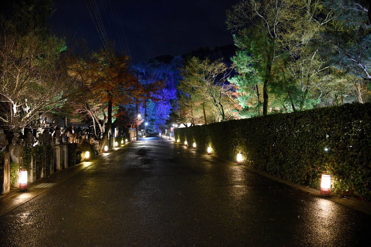 「京都・嵐山花灯路-2020」渡月橋ライトアップや情緒あふれる散策路“灯りと花の路”｜写真2