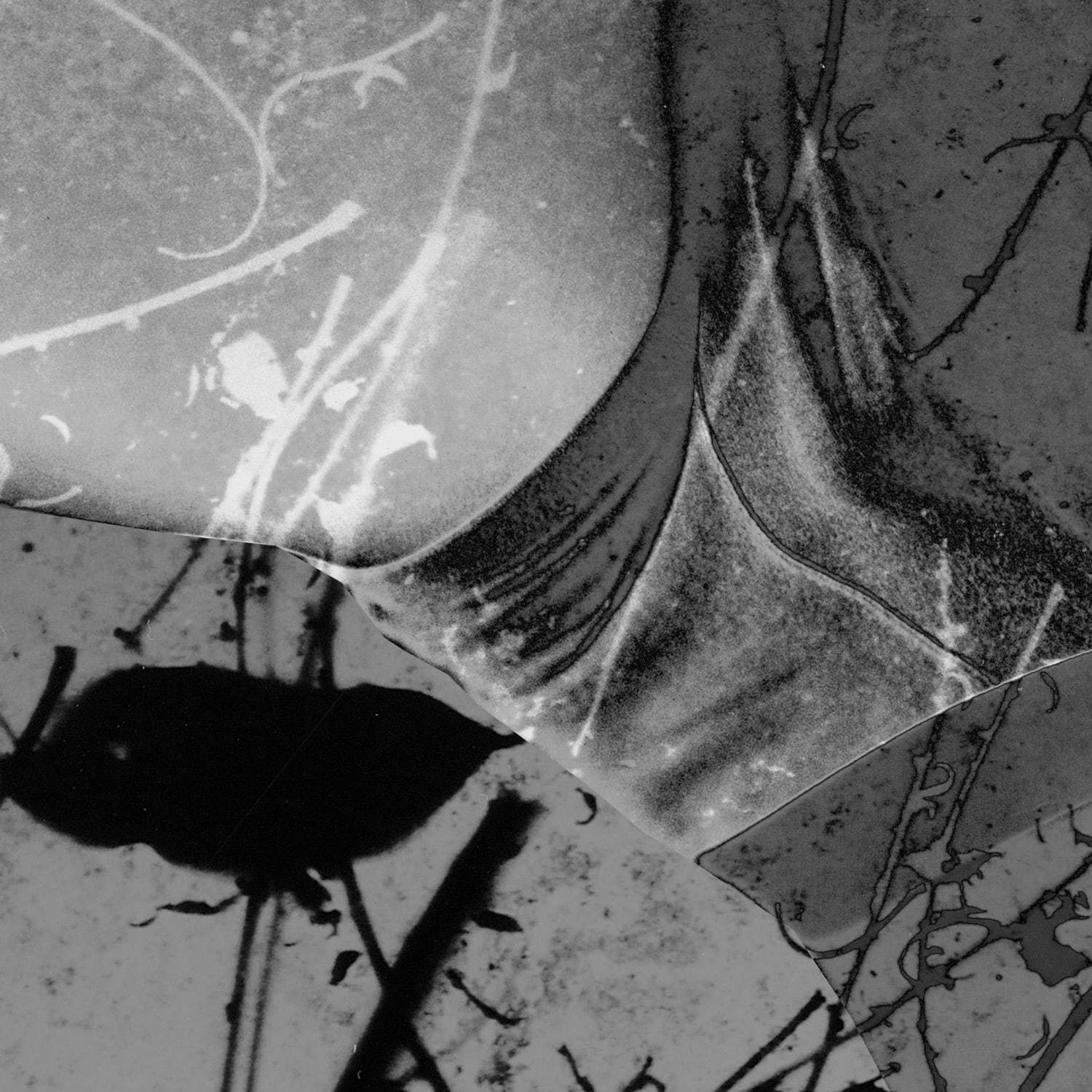 細倉真弓「NEW SKIN #37-1」(2019)