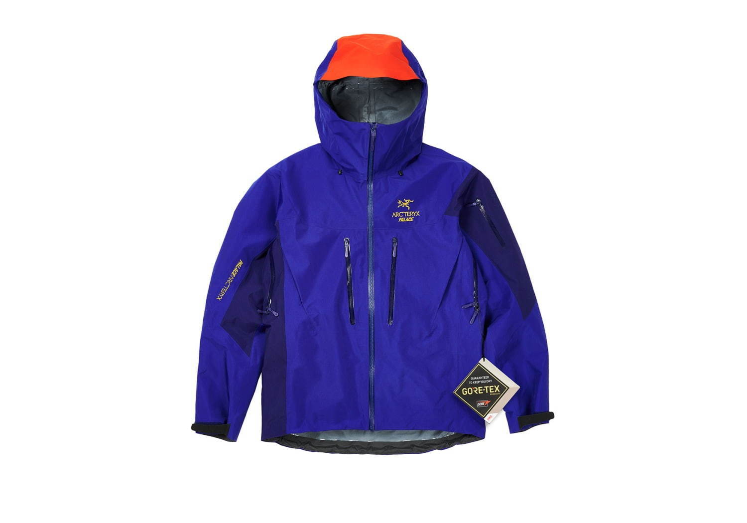 Palace Arcteryx コラボ　パーカー