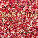 石けんのお花「ソープフラワー」専門店が東急プラザ表参道原宿店に、泡風呂になる花束バスフレグランス｜写真14