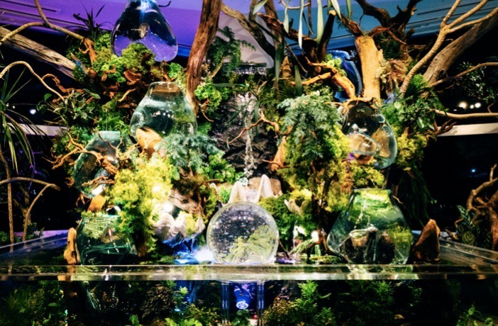 「宇宙×アクアリウム」テーマの水族館が横浜ワールドポーターズで、“宇宙を旅する”エンターテイメント｜写真10
