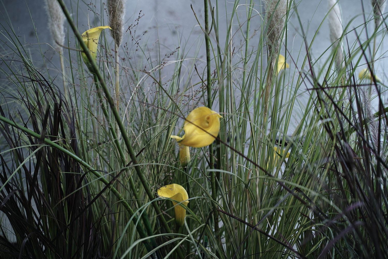 フォトコピュー 2021年春夏<span>コレクション</span> - 写真28