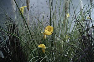 フォトコピュー(PHOTOCOPIEU) 2021年春夏ウィメンズコレクション  - 写真28