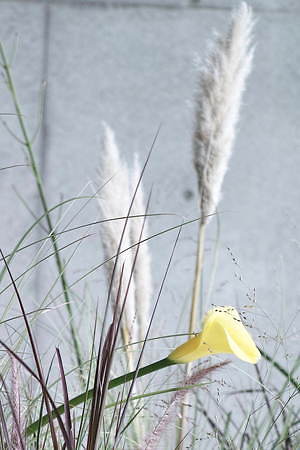 フォトコピュー(PHOTOCOPIEU) 2021年春夏ウィメンズコレクション  - 写真32