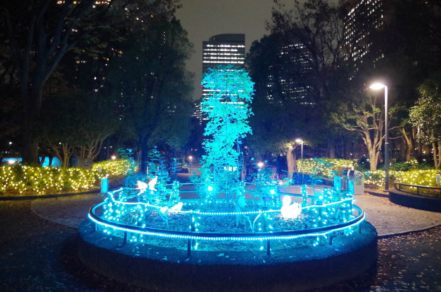 「SHINJUKU HIKARI」新宿中央公園で、イルミネーションや体験型ナイトウォーク | 写真