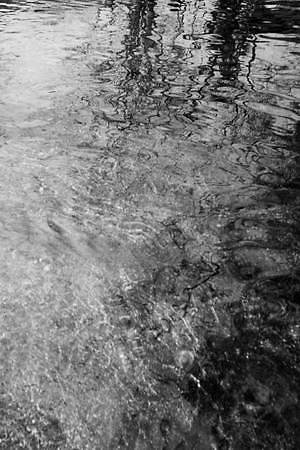 サージ(SERGE) 2021年春夏ウィメンズコレクション  - 写真3