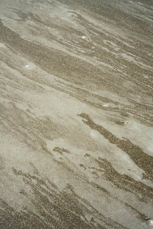 サージ(SERGE) 2021年春夏ウィメンズコレクション  - 写真10