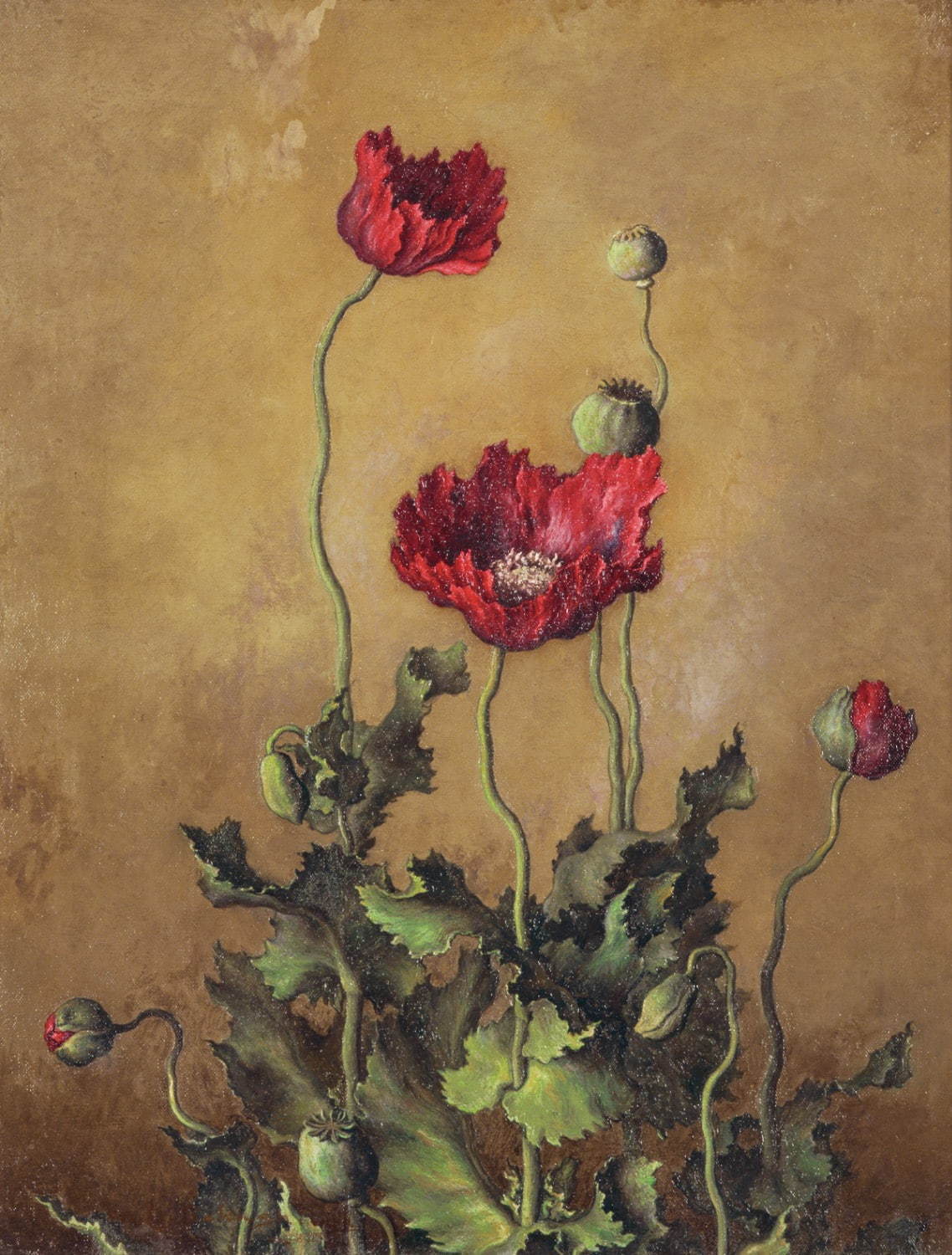 髙島野十郎《けし》1925年 三鷹市美術ギャラリー